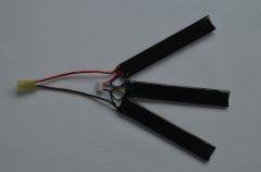 LiFePO4 battery