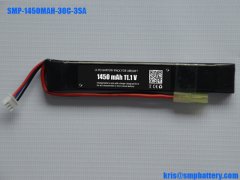 LiFePO4 battery